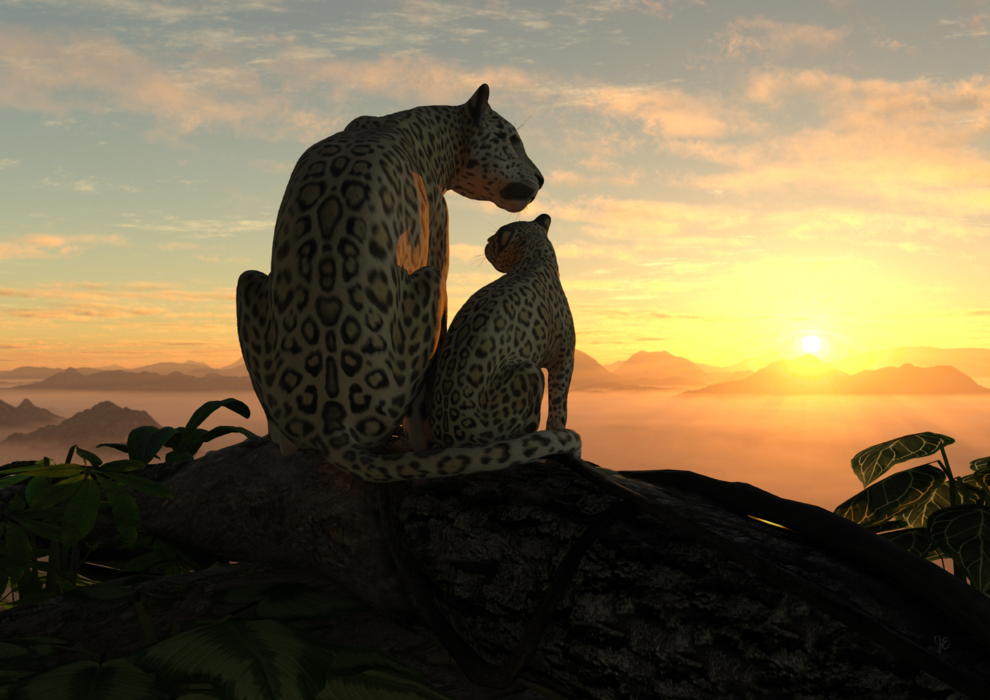 Jaguars in sunset